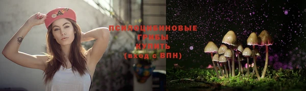 дмт Волоколамск