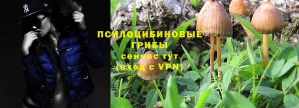 мдпв Володарск