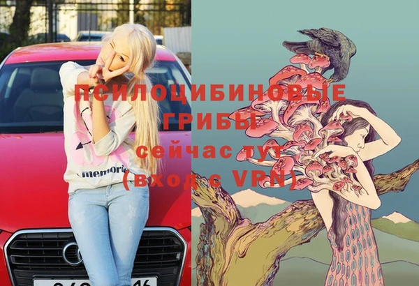 соль курить ск Вяземский