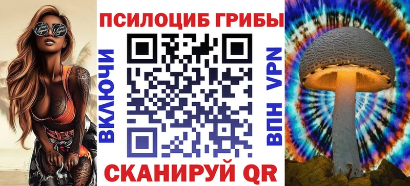 Купить где  Костомукша  Галлюциногенные грибы Magic Shrooms 